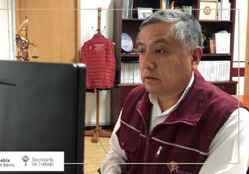 Trabajo m&aacute;s empleo con bamb&uacute; sembrado