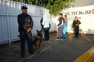 SSC reporta aseguramientos en distintos puntos de la capital durante las últimas horas