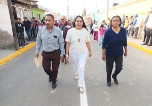 Trabajo mata grilla en San Pedro Cholula