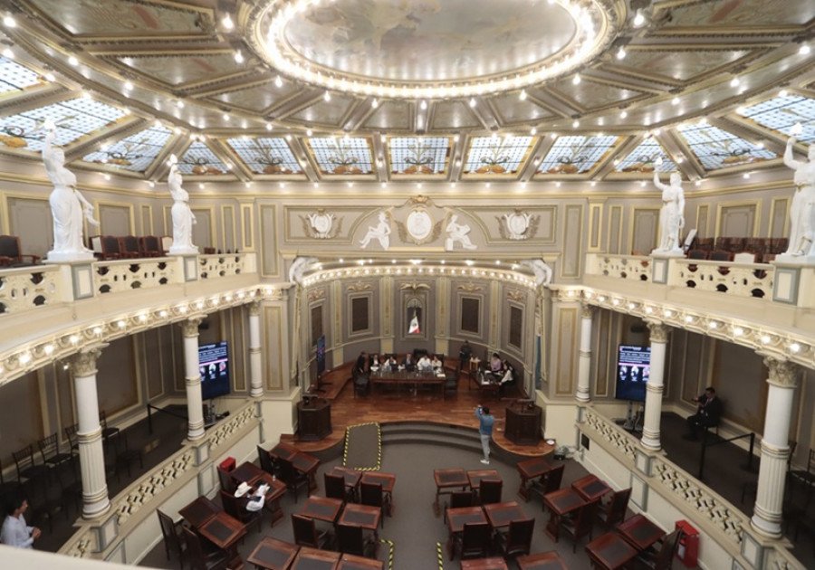 Impulsan propuesta legislativa para prohibir intervenciones est&eacute;ticas en animales