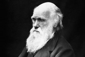 Adaptarse o desaparecer: Darwin y Marx