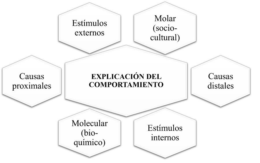 Saber ser y saber aprender