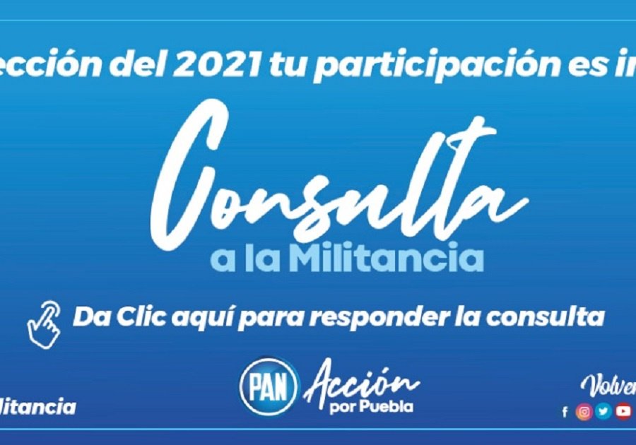 PAN Consulta