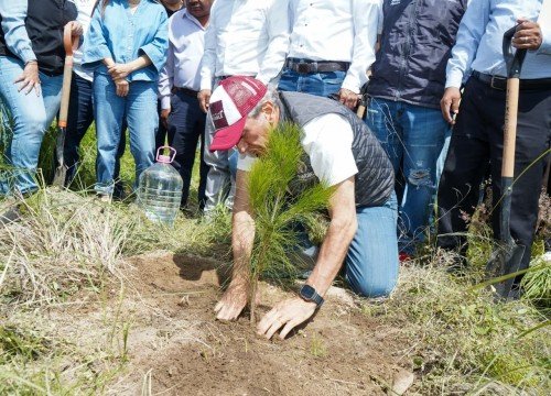 Puebla capital refuerza su compromiso ambiental: meta de plantar 100 mil &aacute;rboles para 2026