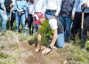 Puebla capital refuerza su compromiso ambiental: meta de plantar 100 mil árboles para 2026