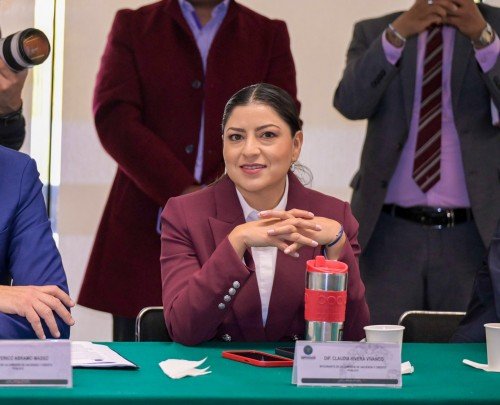 Morena busca eliminar cargos extra en aerol&iacute;neas por asientos para menores