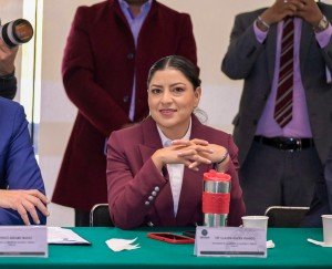 Morena busca eliminar cargos extra en aerol&iacute;neas por asientos para menores