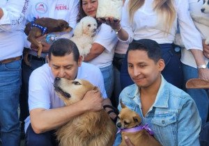 Armenta, a favor del bienestar animal en la práctica