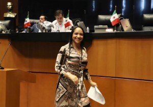 Liz Sánchez propone pena severa por maltrato animal en México