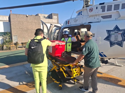 Gobierno estatal coordina traslado a&eacute;reo de &oacute;rganos para trasplante en CDMX