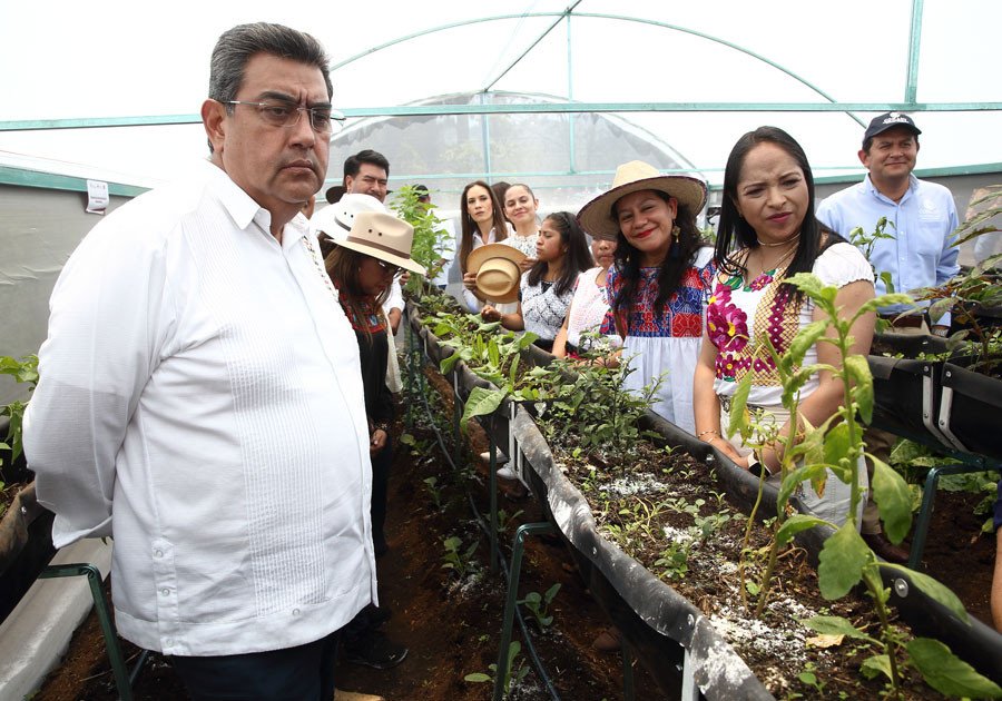 Promueve Bienestar soberan&iacute;a alimentaria en Puebla