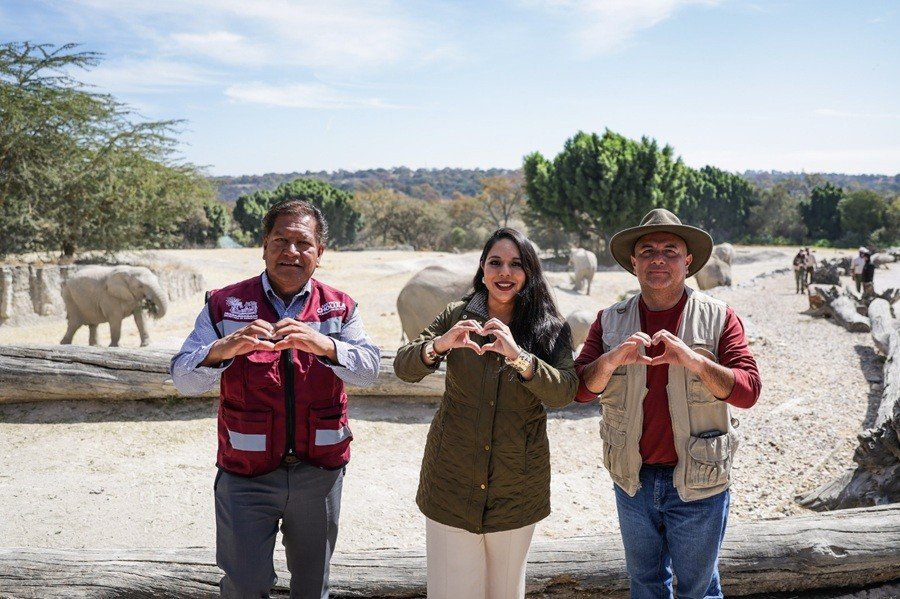 Entrega Tonantzin Fern&aacute;ndez 270 &aacute;rboles navide&ntilde;os naturales a Africam Safari