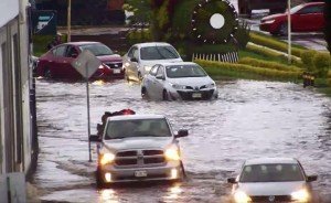 Tormenta arrasa Atlixco: lluvias dañan viveros y viviendas