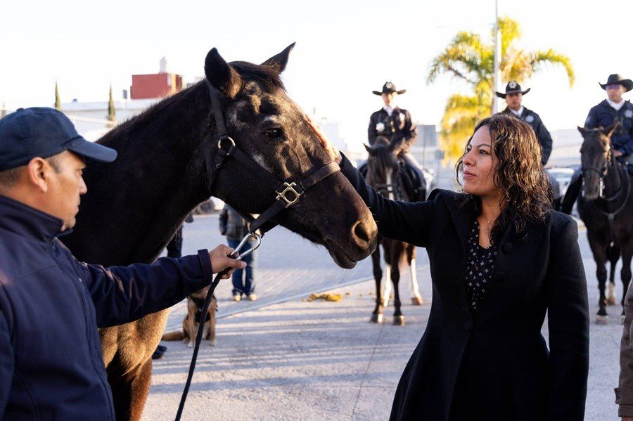 En Ceremonia Lupita Cuautle retira ejemplares de la Polic&iacute;a Montada y Unidad Canina