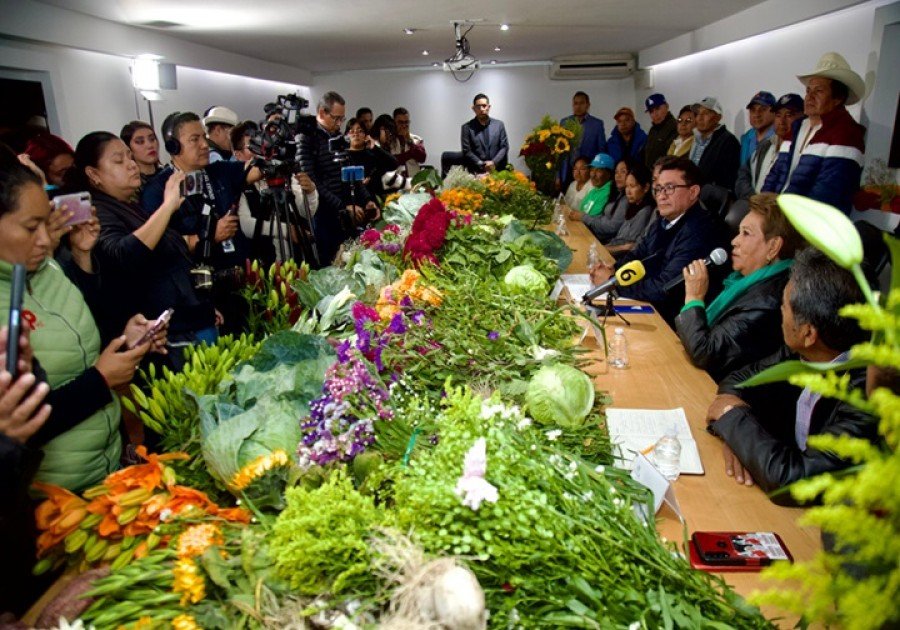 Impulsan en el Congreso del Estado a productores de flor de cempas&uacute;chil y terciopelo