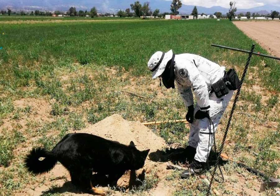Avanza gobierno de Puebla en ubicaci&oacute;n de personas desaparecidas o no localizadas