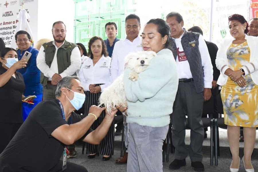 Inicia en Coronango la Semana Nacional de Vacunación Antirrábica Canina y Felina