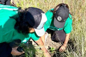 Impulsa Gobierno de Pepe Chedraui restauraci&oacute;n del Cerro de Amalucan con &ldquo;Ra&iacute;ces del Futuro&rdquo;