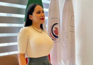 ¿México Nuevo o Nuevo PRI?