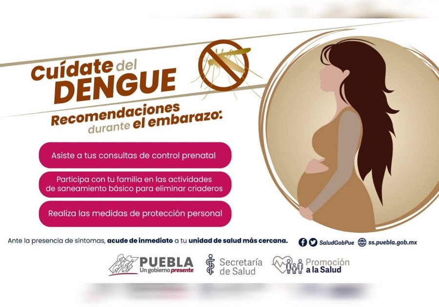 Reporta Salud mil 528 casos acumulados de dengue en 80 municipios
