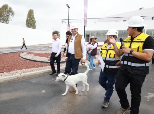 Gobierno estatal alcanza 88 por ciento de avance en C&eacute;lula de Bienestar Animal
