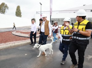 Gobierno estatal alcanza 88 por ciento de avance en C&eacute;lula de Bienestar Animal