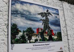 Inaugura IMACP exposición fotográfica “Bajo sus Alas”