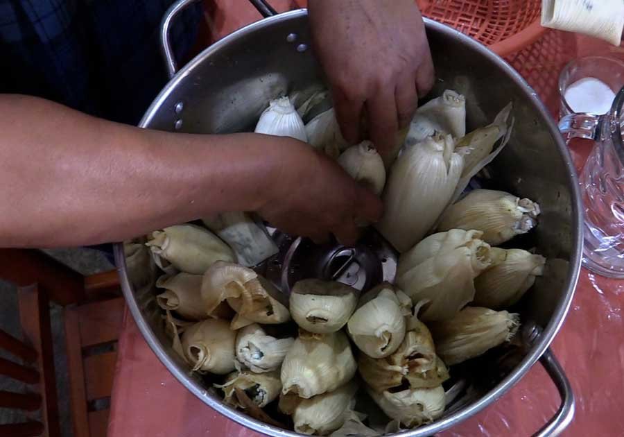 Tamales de quelite y frijol: sabores &uacute;nicos en Xochimilco