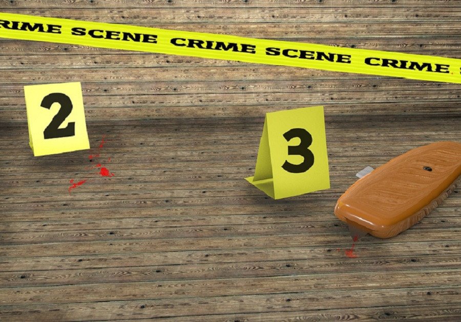Asesinos de Vielka dispararon 20 balas 9 mm y 6 calibre 45