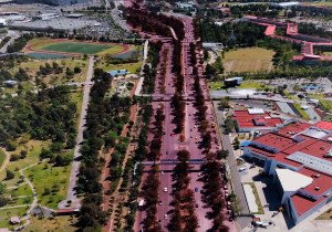 Por proyecto de movilidad incluyente, gobierno estatal recibe reconocimiento nacional
