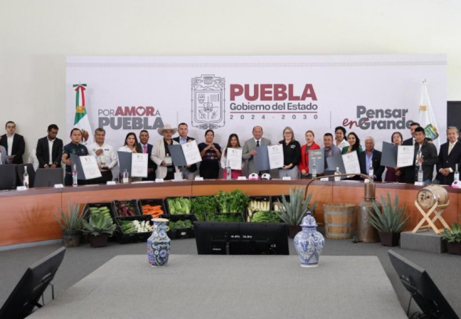 Puebla se consolida como referente en producción mezcalera, líder nacional e internacional