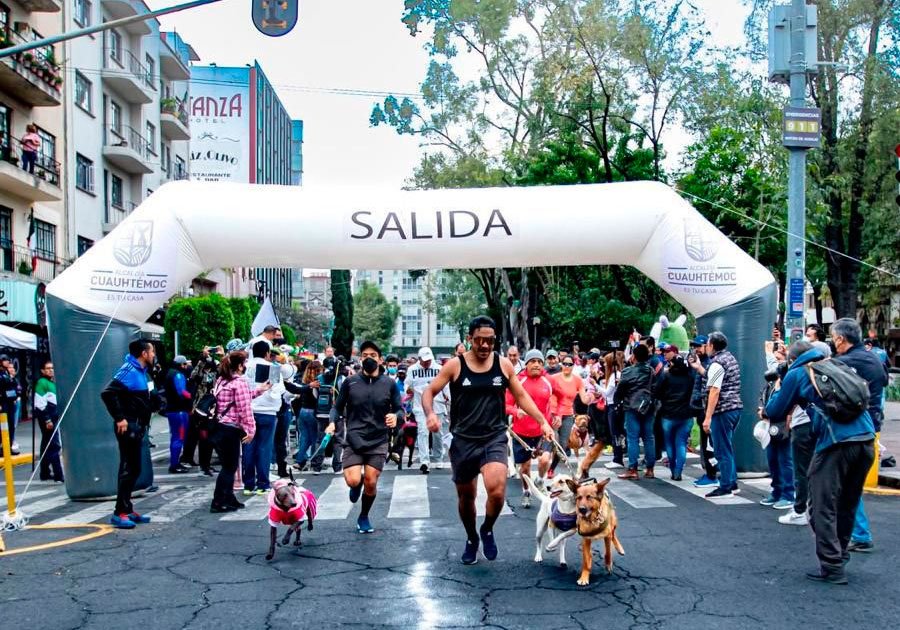 Un &eacute;xito, la carrera Perritos en Fuga 2.5 k; la convivencia familiar se fortaleci&oacute;: Sandra Cuevas