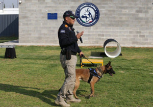Crean unidad canina K9 especializada en rescate de personas