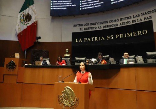 Bienestar Animal ser&aacute; una Realidad en M&eacute;xico: Liz S&aacute;nchez