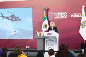 Gobierno Estatal reduce 55% la superficie afectada por incendios forestales