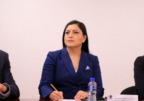 Falso que con reforma de simplificaci&oacute;n org&aacute;nica este en riesgo la transparencia y la rendici&oacute;n de cuentas