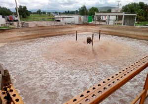 ¡Huevos!.. Bachoco pagará trámites para proteger recursos naturales