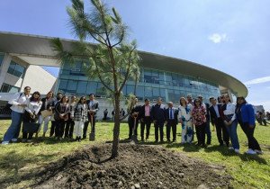 Reforestan perímetro de Ciudad Judicial siglo XXI