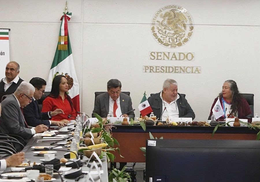 Liz Sánchez protegerá el maíz de la amenaza de semillas transgénicas