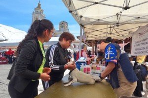 Salud, prevención y proximidad social para las familias de Chignahuapan