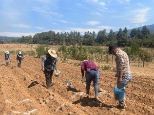 Agua sólida, solución de una patente en época de calor