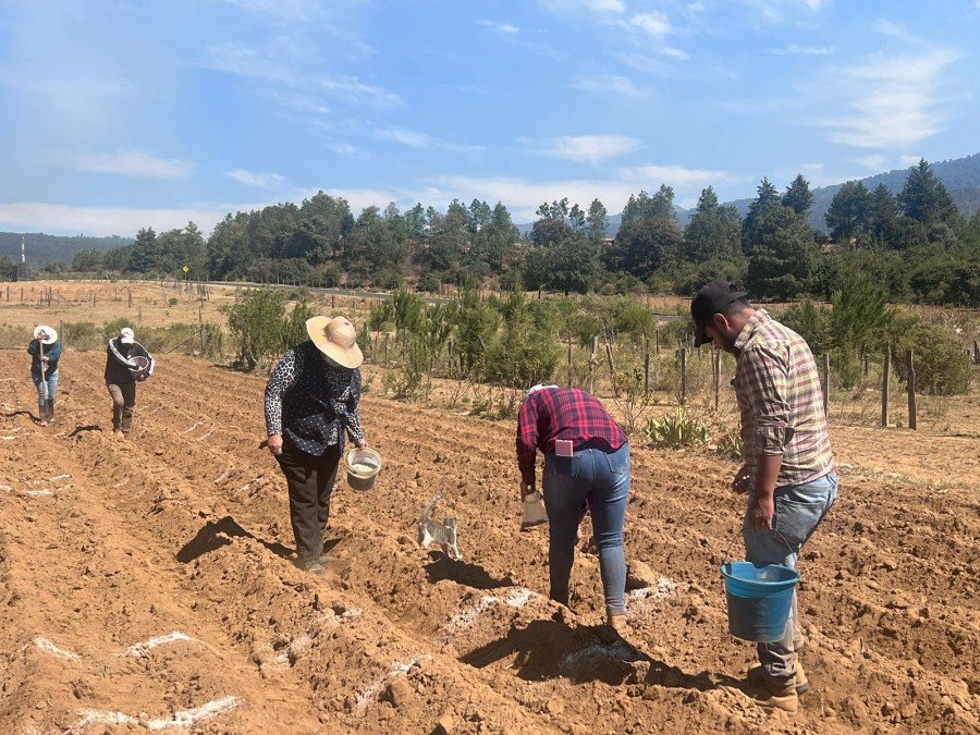 Agua sólida, solución de una patente en época de calor