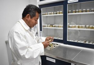 Académico del ICUAP investiga organismos del suelo
