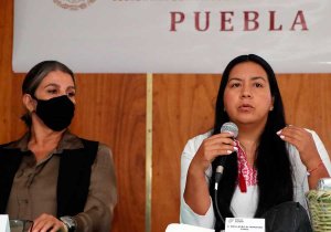 Capacita SDR en nutrición de cafetales con especialistas de México y Brasil