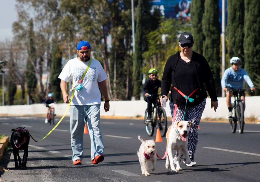 Recupera gobierno de Puebla espacios públicos a través de Vía Recreativa