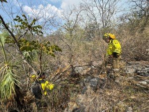 Respuesta inmediata de gobierno estatal ante reactivaci&oacute;n de incendio en Cohetzala