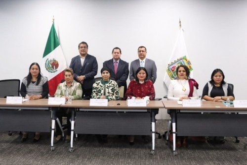 Presentan en Comisión del Congreso Informe Preliminar de la Auditoría Financiera y de Desempeño de la ASE