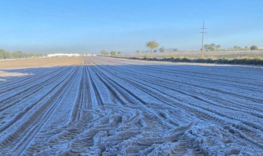 Frente frío 37 provoca heladas severas y pérdidas en cultivos de Puebla; se aproxima nuevo sistema