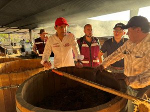 Respaldo permanente en el fomento del mezcal mixteco”: Eduardo Castillo   