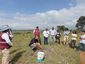 Avanza campa&ntilde;a de reforestaci&oacute;n del Gobierno de Pepe Chedraui;&nbsp;van 9 mil &aacute;rboles plantados este mes